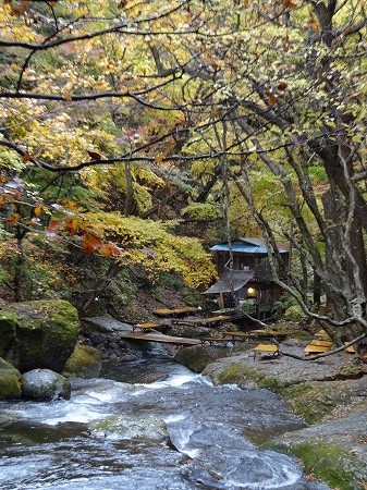 DSC04854.jpg