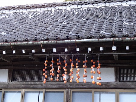 DSC04988.jpg