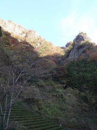 DSC04999.jpg
