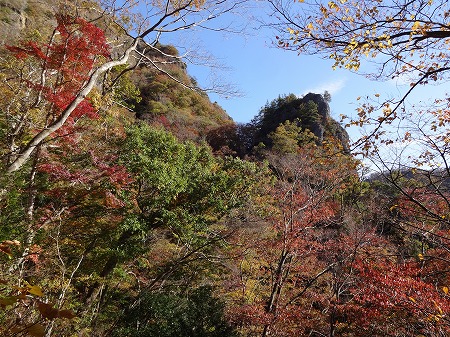 DSC05007.jpg