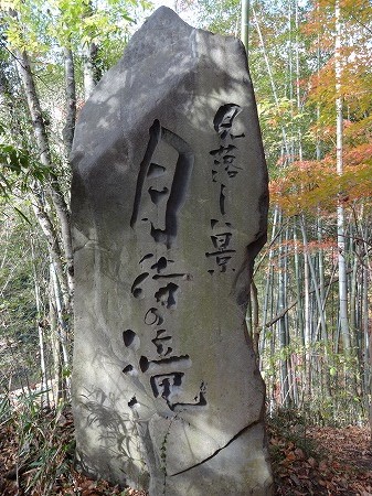 DSC05104.jpg