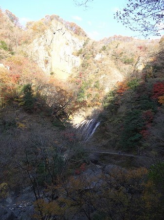 DSC05213.jpg