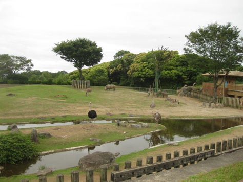 平川動物園3
