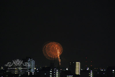 IMG_4329.jpg