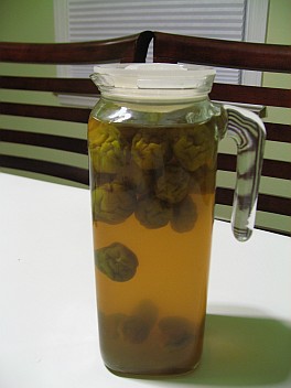 ume sour - ume in the top - evening