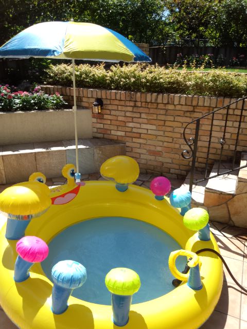 IMG_20120731_093820.jpg