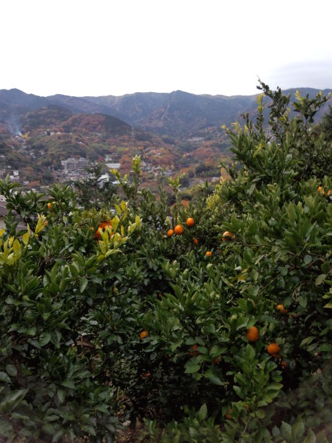 IMG_20121202_111727.jpg
