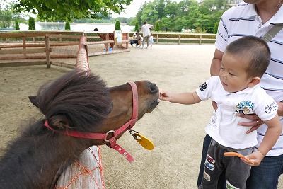 にんじんお馬さん