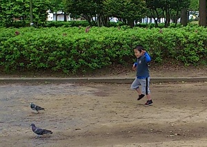 DSC_0272.jpg