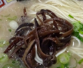 キクラゲ
