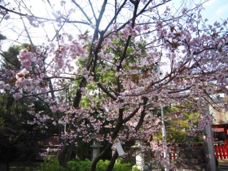 車折神社IMG_3815 - コピー