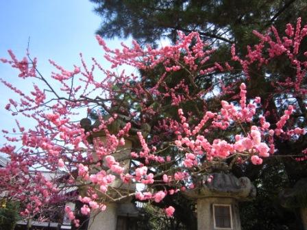 北野天満宮IMG_3915 - コピー