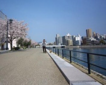 桜満開IMG_4065 - コピー