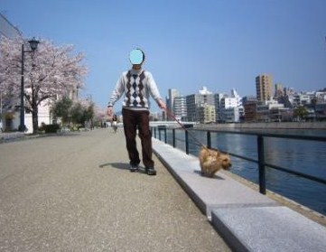 桜満開IMG_4067 - コピー