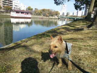 20140129_135349.jpg