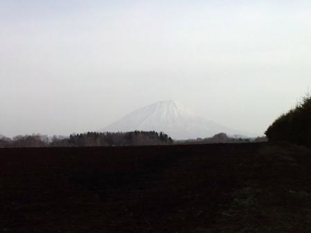 羊蹄山