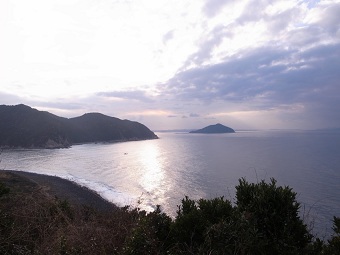 110_large.jpg