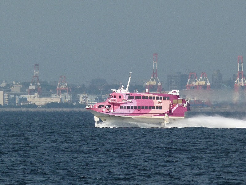 P1590054.jpg