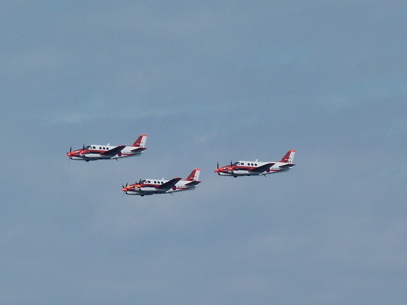 P1590386.jpg