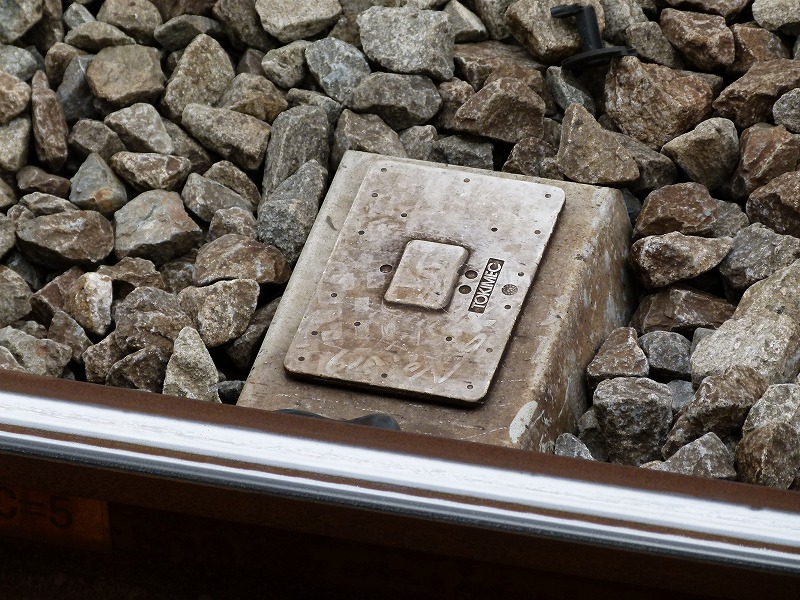 P1610136.jpg