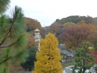 動物園の紅葉