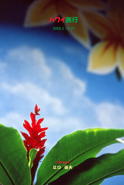 01hawaii.jpg