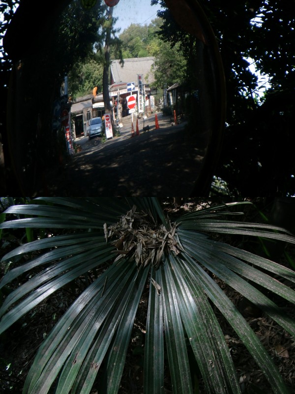 02.jpg
