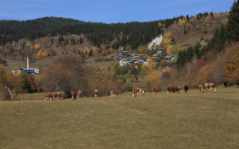 05Posof.jpg
