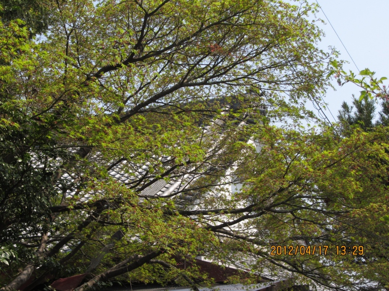 名古屋の嵐山