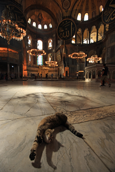 7イスタンブル・アヤソフィア博物館