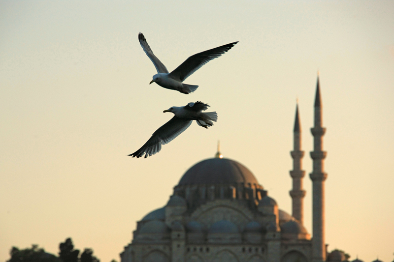 7イスタンブル夕景