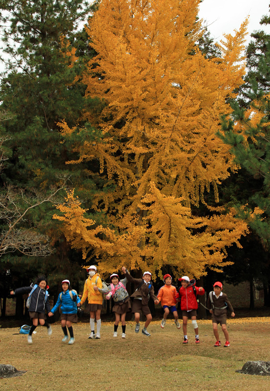 F奈良公園