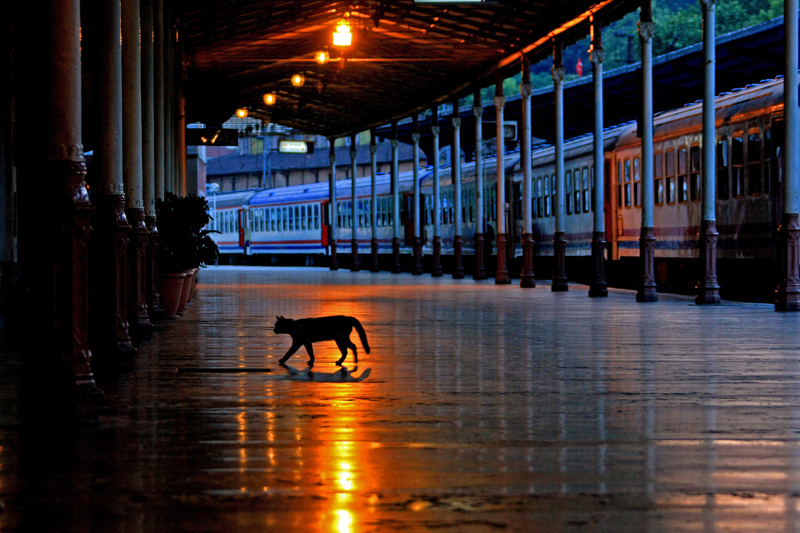 eシルケジ駅2008