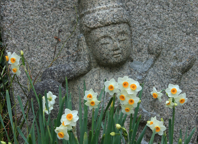 a般若寺2010.1.23