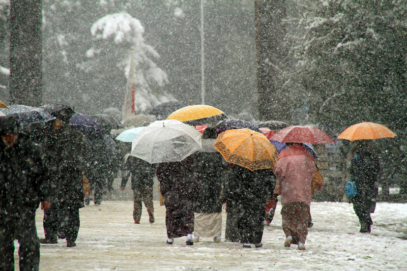 f橿原神宮2011.2.11