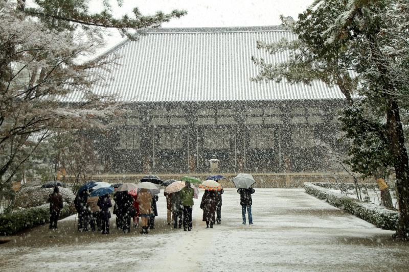 k唐招提寺