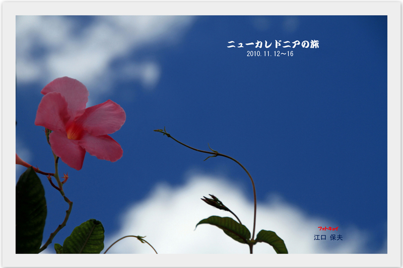 100表紙