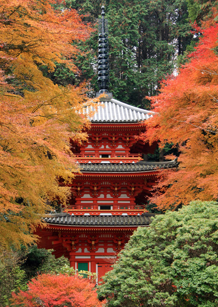 17岩船寺2012.11.29