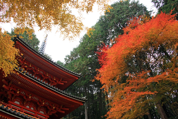 18岩船寺