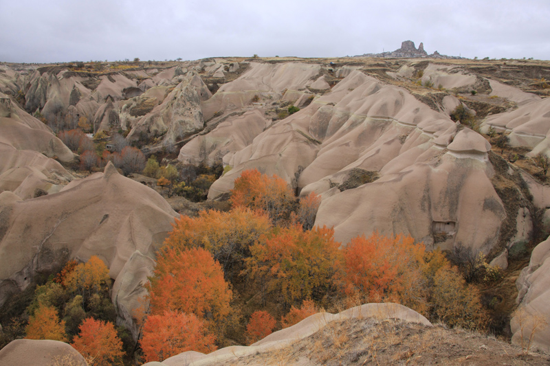 40Kapadokya Goreme11.10