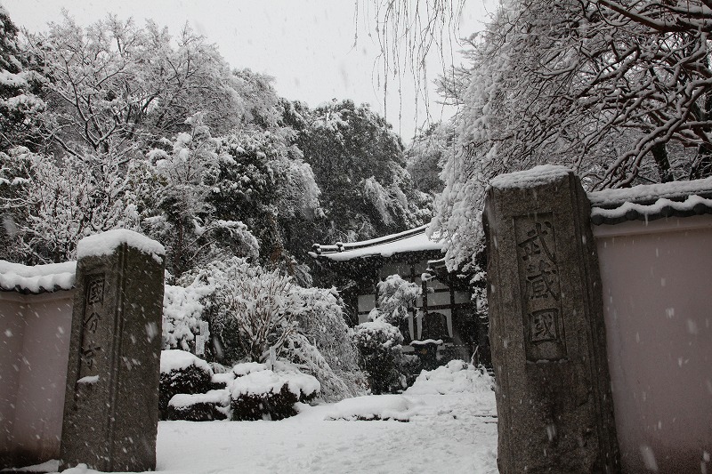 国分寺1