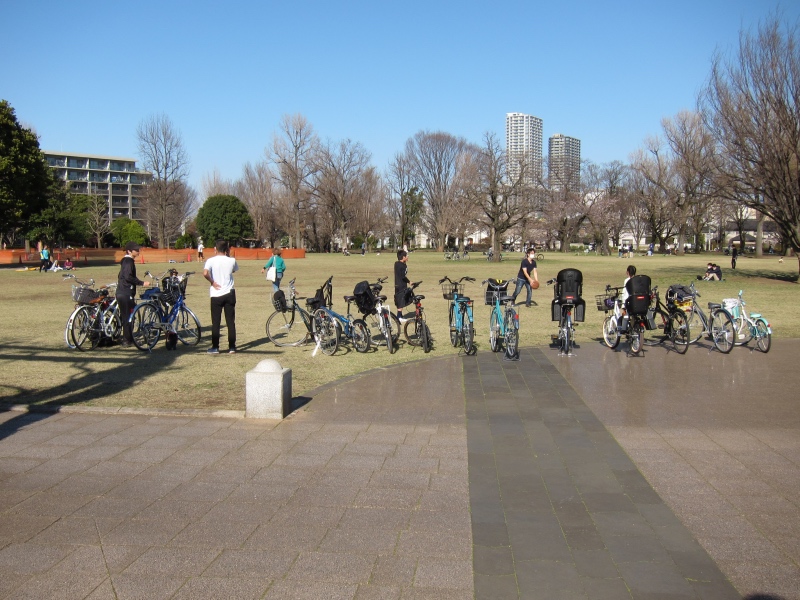 IMG_5943.jpg
