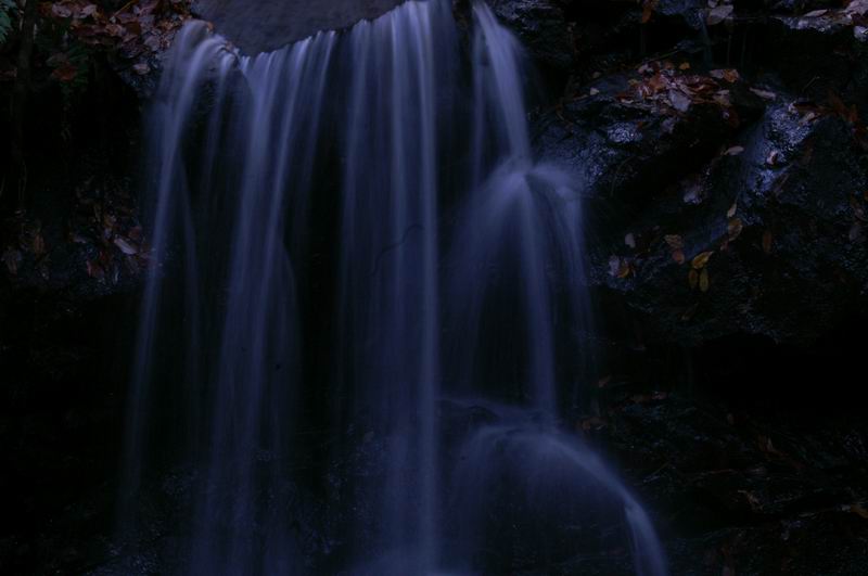 PICT0010.jpg