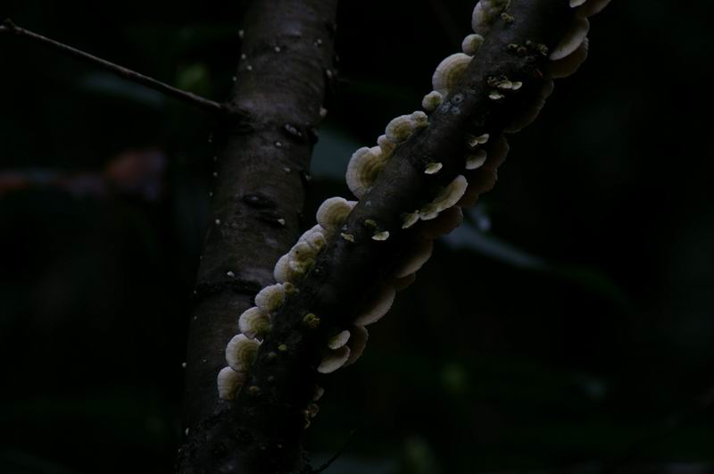PICT0030.jpg