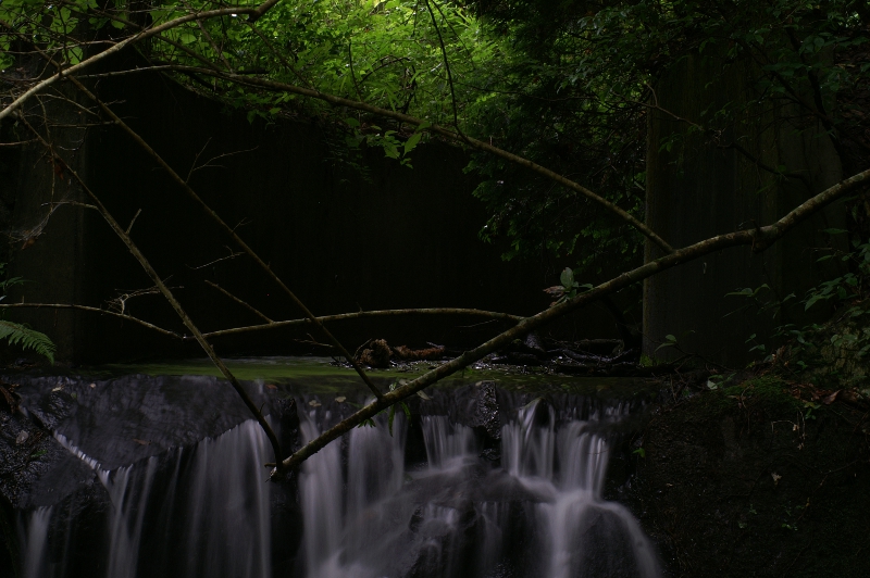 PICT0413.jpg