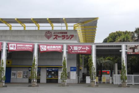 080424-132510.jpg