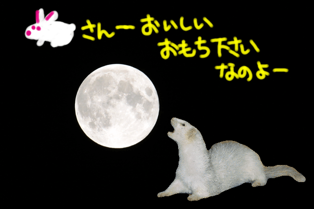 141009c.gif