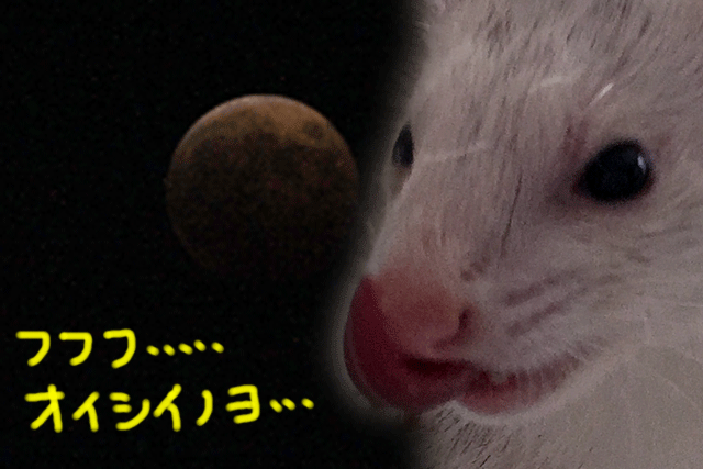141009d.gif