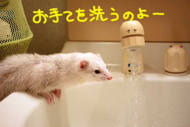 141011a.gif