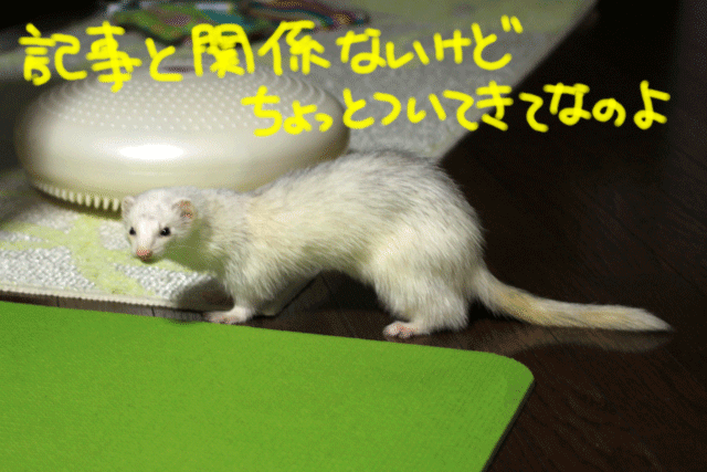 141011b.gif